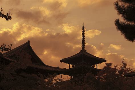 法龍|【法隆寺完整指南】必看重點&周邊景點一篇掌握！ 